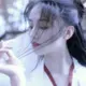 喵口喵口的头像-zibll子比社区